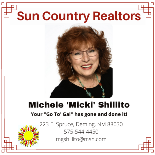 Micki Shillito Sun Logo